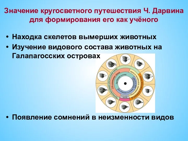 Значение кругосветного путешествия Ч. Дарвина для формирования его как учёного Находка