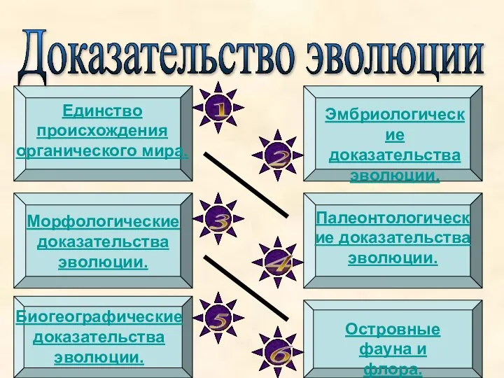 Доказательство эволюции Единство происхождения органического мира. Эмбриологические доказательства эволюции. Морфологические доказательства