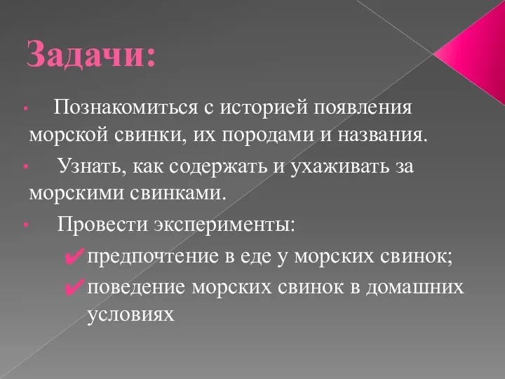 Задачи: Познакомиться с историей появления морской свинки, их породами и названия.