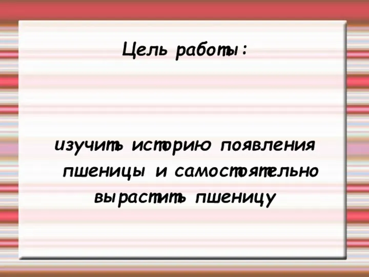 Цель работы: изучить историю появления пшеницы и самостоятельно вырастить пшеницу