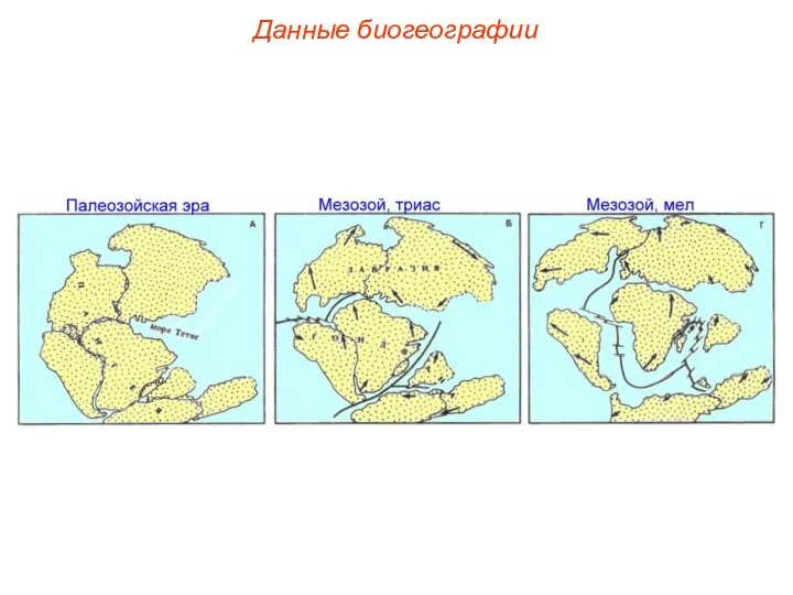 Данные биогеографии