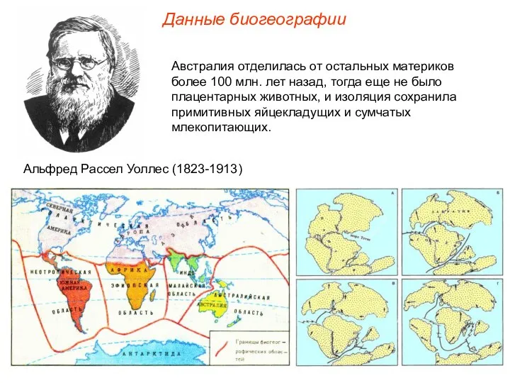 Данные биогеографии Австралия отделилась от остальных материков более 100 млн. лет