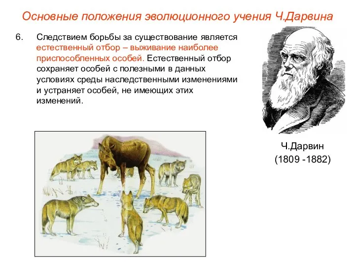 Основные положения эволюционного учения Ч.Дарвина Ч.Дарвин (1809 -1882) Следствием борьбы за