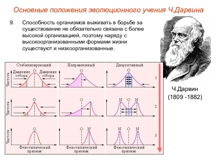 Основные положения эволюционного учения Ч.Дарвина Ч.Дарвин (1809 -1882) Способность организмов выживать