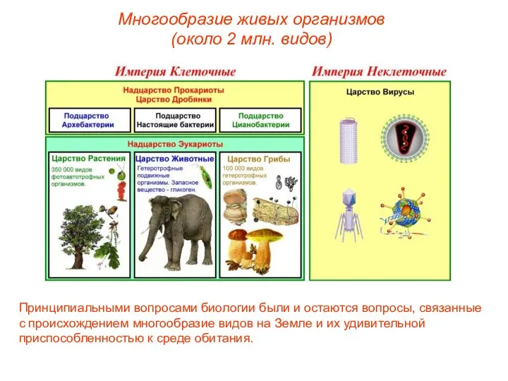 Многообразие живых организмов (около 2 млн. видов) Принципиальными вопросами биологии были