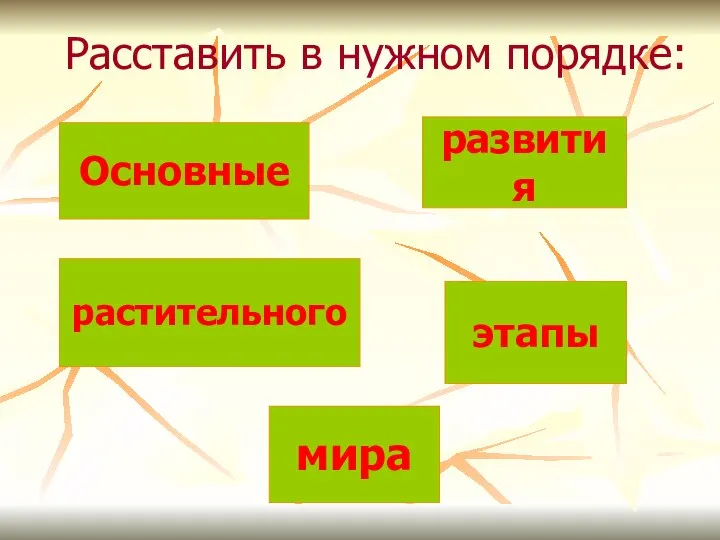 Основные развития мира растительного этапы Расставить в нужном порядке: