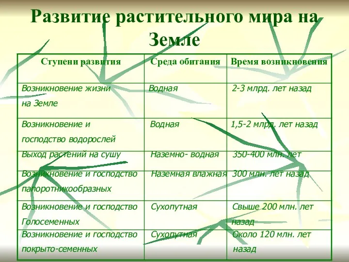 Развитие растительного мира на Земле Возникновение жизни Водная 2-3 млрд. лет