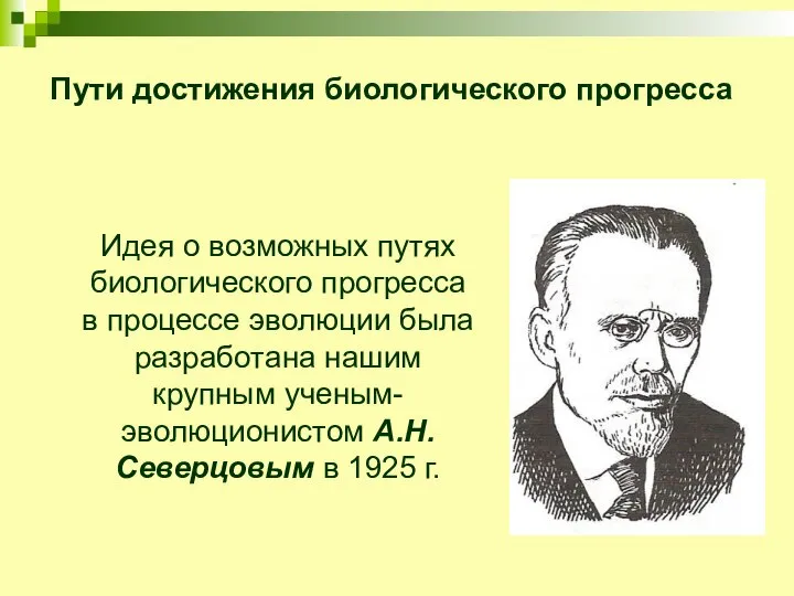 Пути достижения биологического прогресса Идея о возможных путях биологического прогресса в