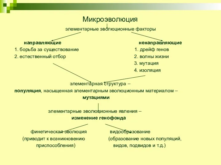 Микроэволюция элементарные эволюционные факторы направляющие ненаправляющие 1. борьба за существование 1.