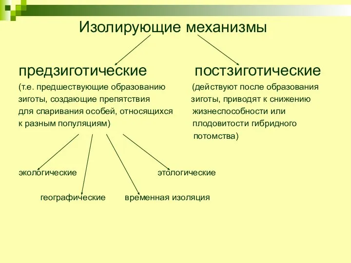 Изолирующие механизмы предзиготические постзиготические (т.е. предшествующие образованию (действуют после образования зиготы,