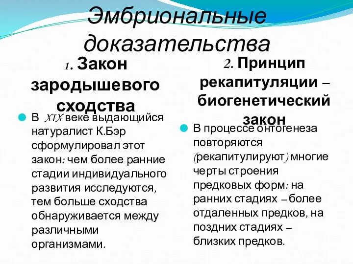 Эмбриональные доказательства 1. Закон зародышевого сходства 2. Принцип рекапитуляции –биогенетический закон