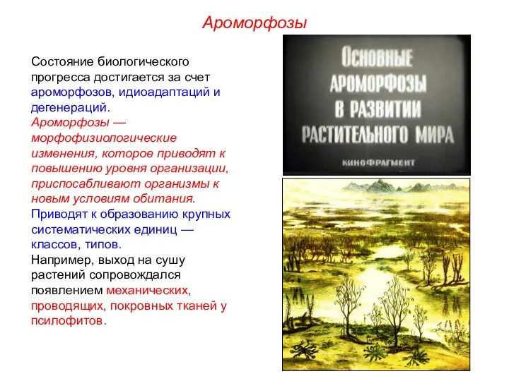 Состояние биологического прогресса достигается за счет ароморфозов, идиоадаптаций и дегенераций. Ароморфозы