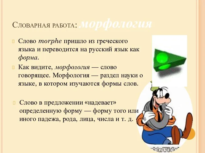 Словарная работа: морфология Слово morphe пришло из греческого языка и переводится