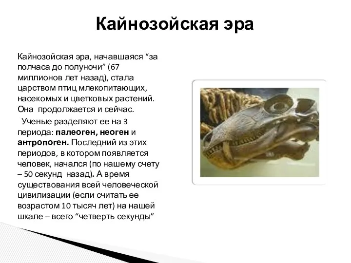 Кайнозойская эра, начавшаяся “за полчаса до полуночи” (67 миллионов лет назад),