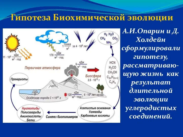 Гипотеза Биохимической эволюции А.И.Опарин и Д.Холдейн сформулировали гипотезу, рассматриваю-щую жизнь как результат длительной эволюции углеродистых соединений.