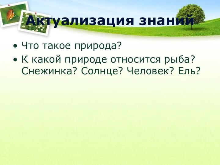 Актуализация знаний Что такое природа? К какой природе относится рыба? Снежинка? Солнце? Человек? Ель?