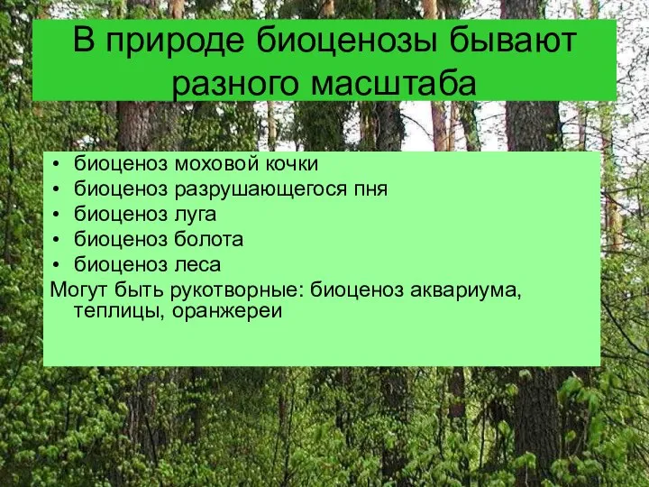 В природе биоценозы бывают разного масштаба биоценоз моховой кочки биоценоз разрушающегося