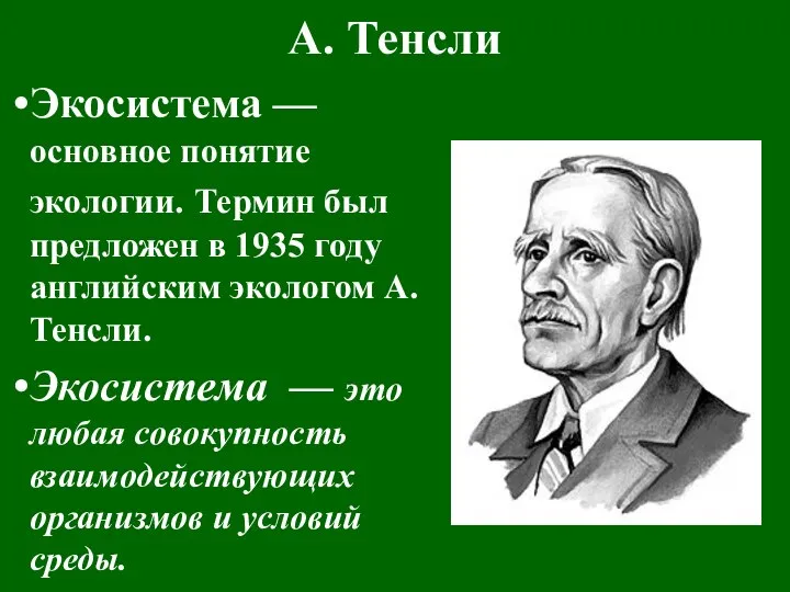 А. Тенсли Экосистема — основное понятие экологии. Термин был предложен в