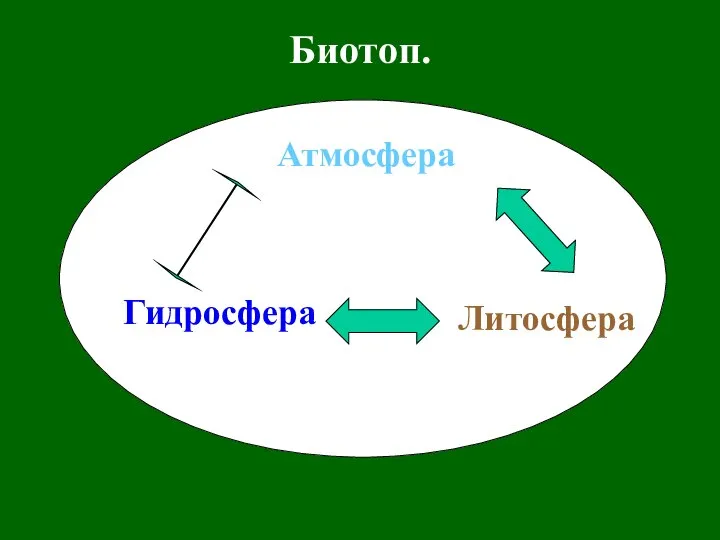 Биотоп. Атмосфера Гидросфера Литосфера