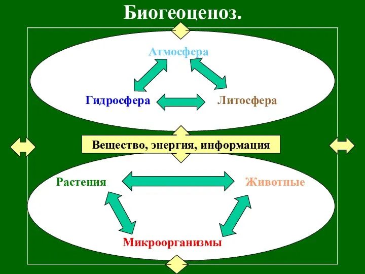 Биогеоценоз. Растения Животные Микроорганизмы Вещество, энергия, информация Атмосфера Литосфера Гидросфера