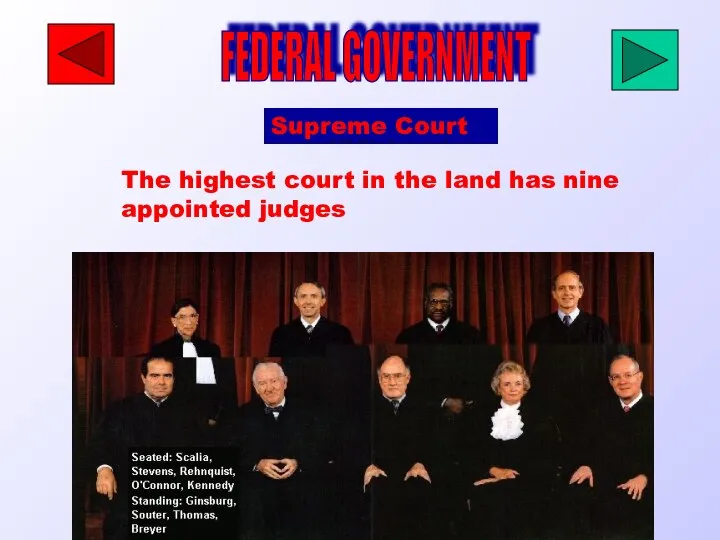 FEDERAL GOVERNMENT Supreme Court The highest court in the land has nine appointed judges