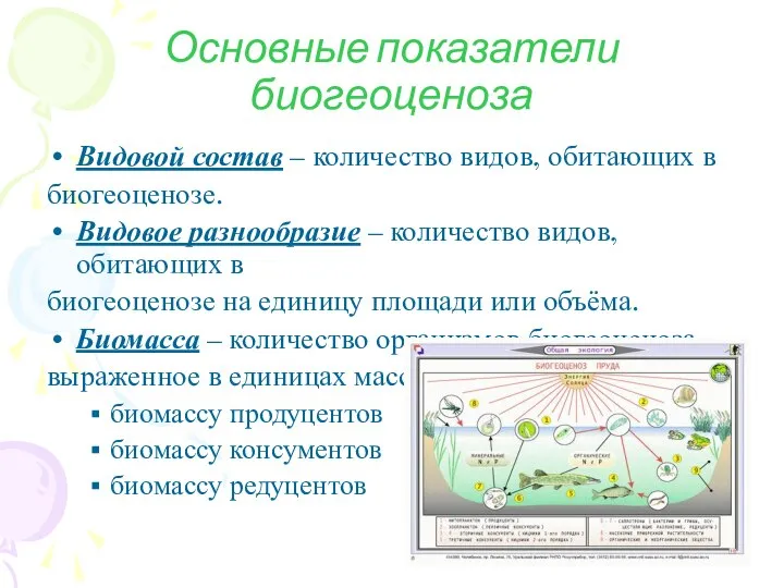 Основные показатели биогеоценоза Видовой состав – количество видов, обитающих в биогеоценозе.