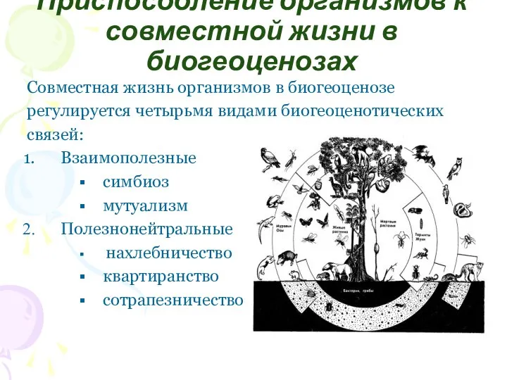 Приспособление организмов к совместной жизни в биогеоценозах Совместная жизнь организмов в