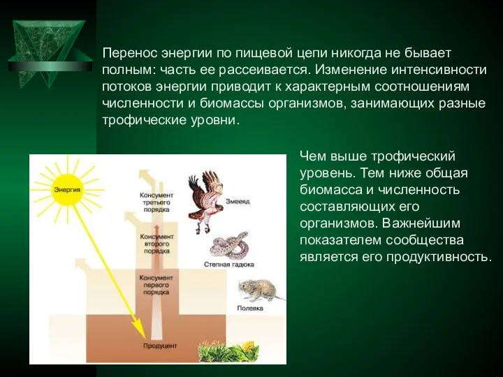 Перенос энергии по пищевой цепи никогда не бывает полным: часть ее