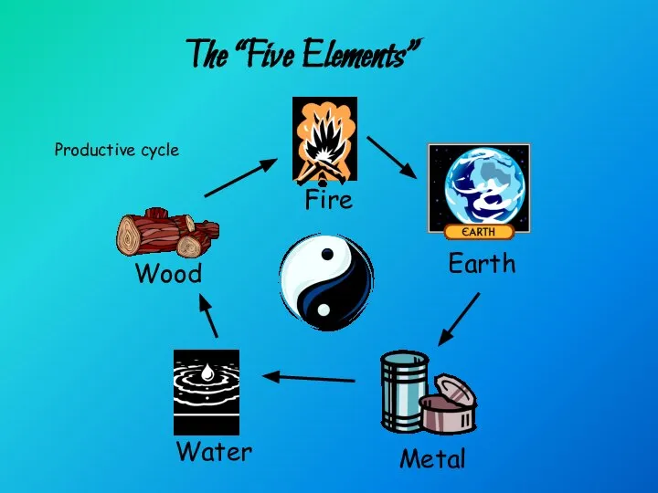 The “Five Elements” Productive cycle