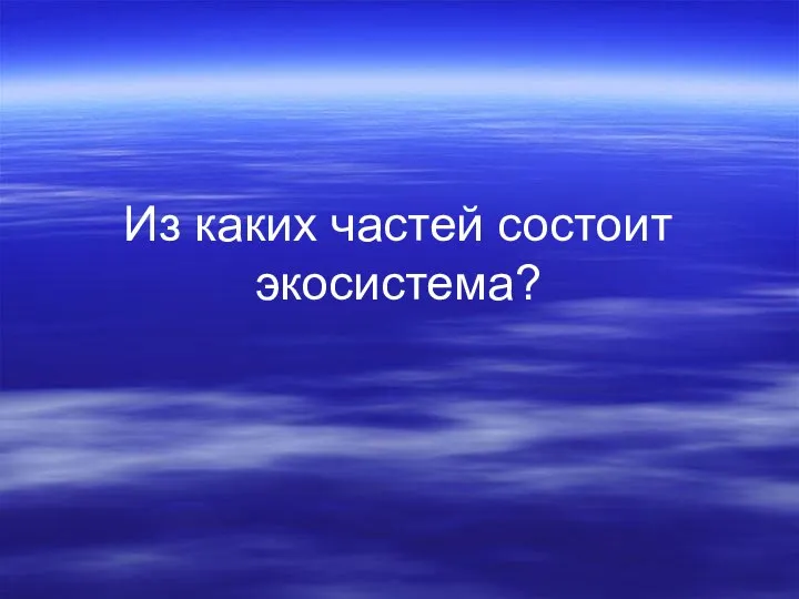 Из каких частей состоит экосистема?