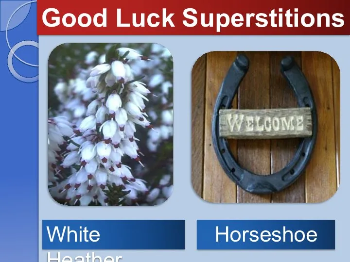 Good Luck Superstitions Horseshoe White Heather