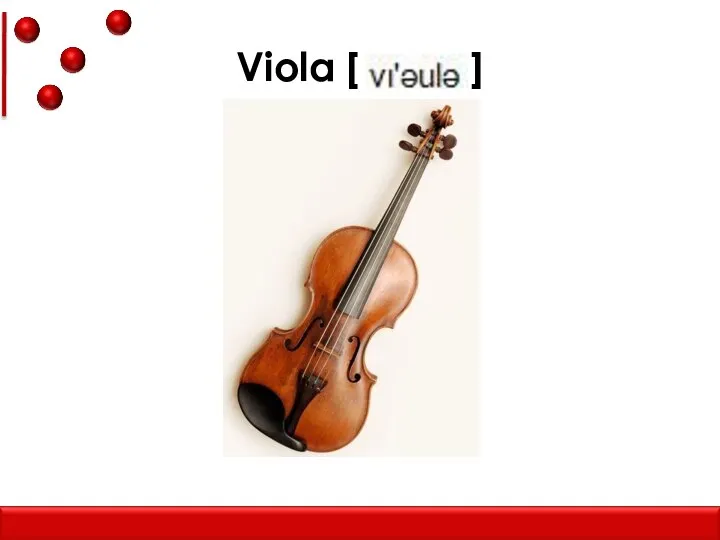 Viola [ ]