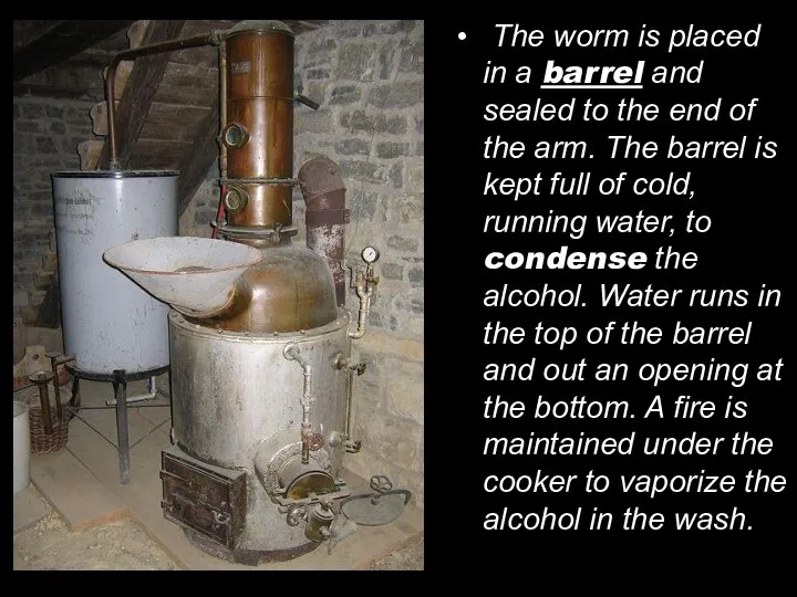 The worm is placed in a barrel and sealed to the