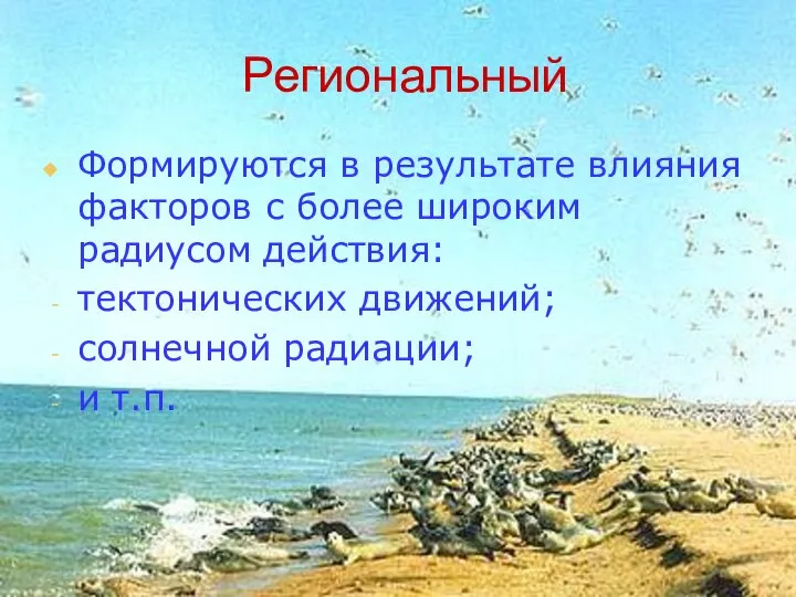 Региональный Формируются в результате влияния факторов с более широким радиусом действия: