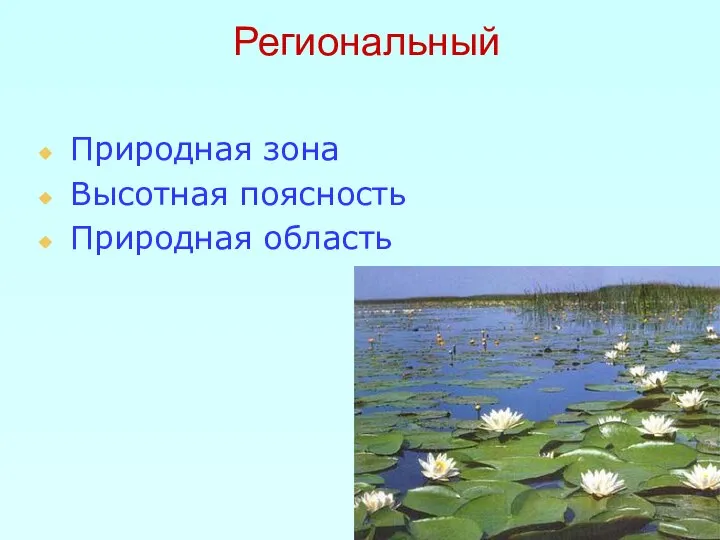 Региональный Природная зона Высотная поясность Природная область