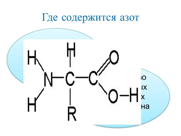 Где содержится азот Содержится в воздухе в виде аммиака и оксидов