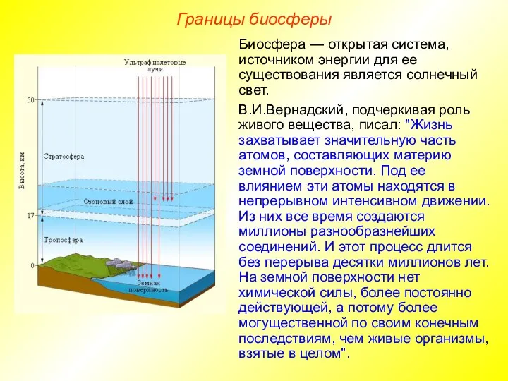 Границы биосферы Биосфера — открытая система, источником энергии для ее существования