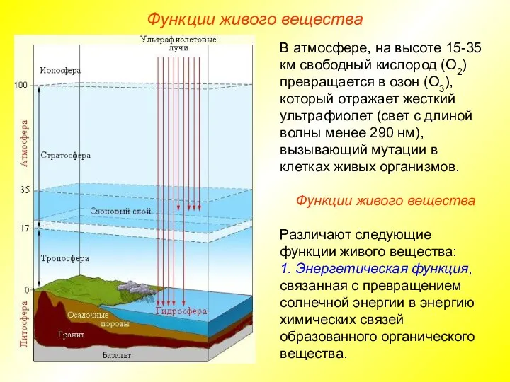 В атмосфере, на высоте 15-35 км свободный кислород (О2) превращается в