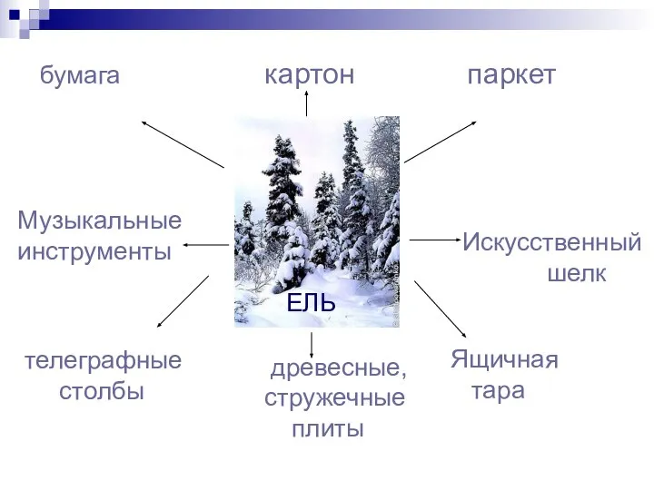 бумага картон паркет Музыкальные инструменты Искусственный шелк телеграфные столбы Ящичная тара древесные, стружечные плиты ель ЕЛЬ