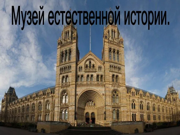 Музей естественной истории.