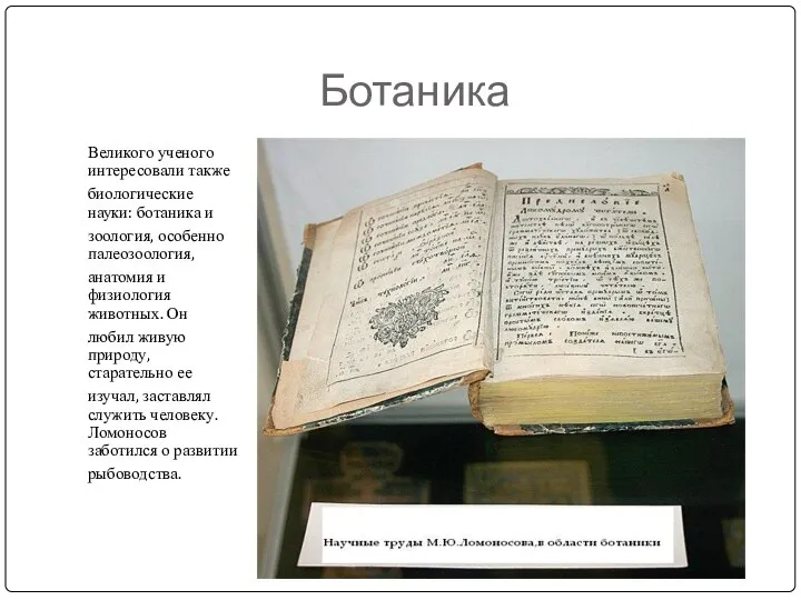 Ботаника Великого ученого интересовали также биологические науки: ботаника и зоология, особенно