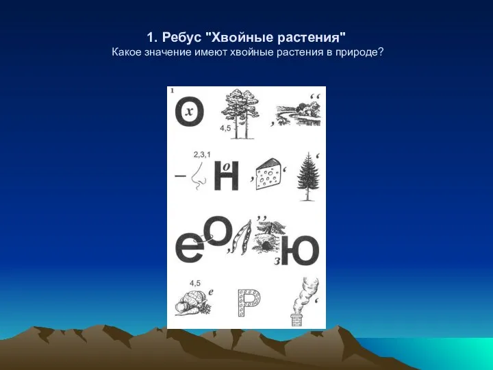 1. Ребус "Хвойные растения" Какое значение имеют хвойные растения в природе?