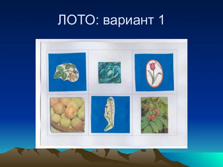 ЛОТО: вариант 1