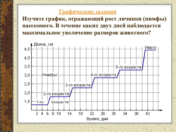 Графические задания Изучите график, отражающий рост личинки (нимфы) насекомого. В течение