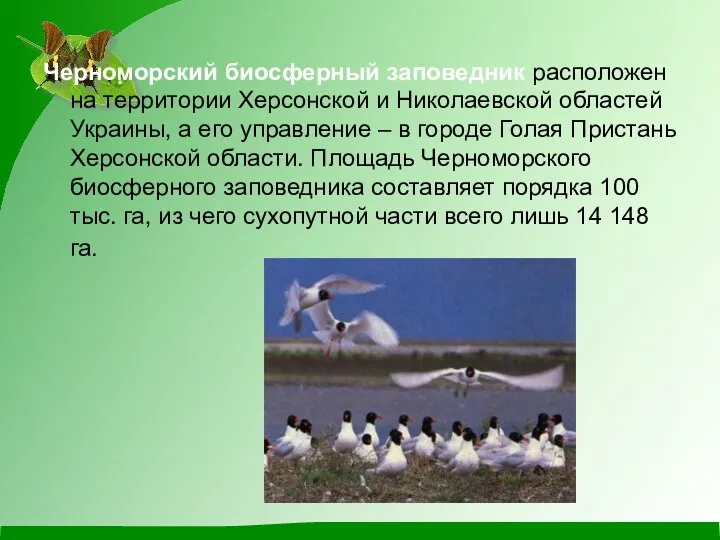 Черноморский биосферный заповедник расположен на территории Херсонской и Николаевской областей Украины,