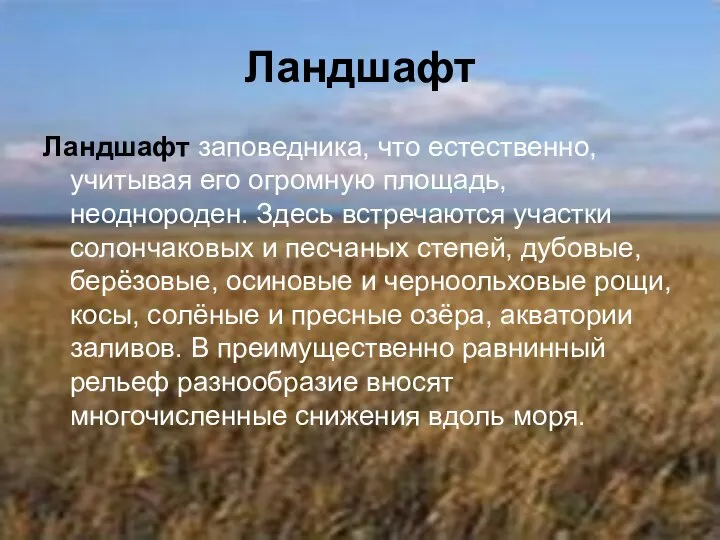 Ландшафт Ландшафт заповедника, что естественно, учитывая его огромную площадь, неоднороден. Здесь