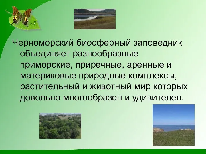 Черноморский биосферный заповедник объединяет разнообразные приморские, приречные, аренные и материковые природные