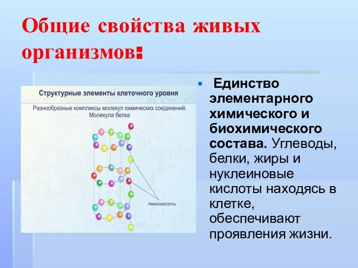 Общие свойства живых организмов: Единство элементарного химического и биохимического состава. Углеводы,