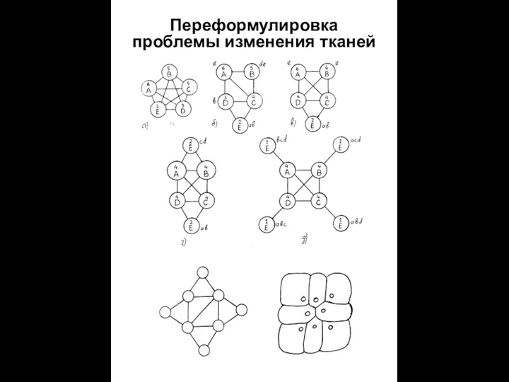 Переформулировка проблемы изменения тканей