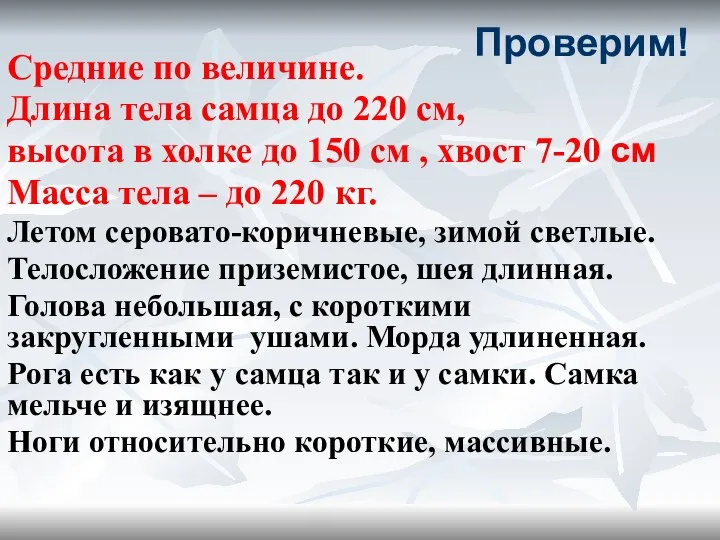 Проверим! Средние по величине. Длина тела самца до 220 см, высота